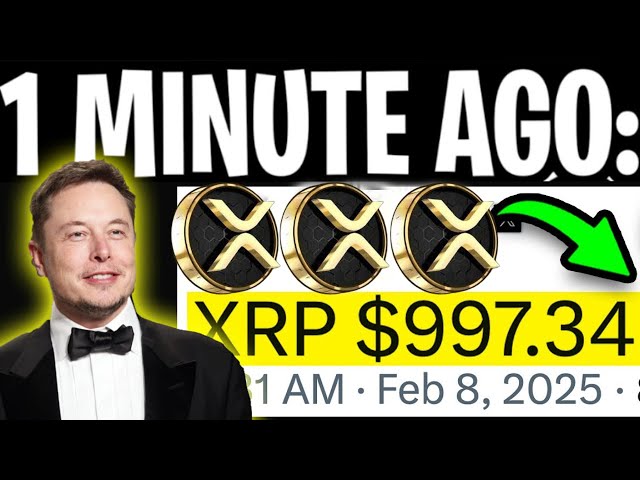 XRP波纹：Elon Musk在XRP上瞄准了景点！ $ 997.34过夜 - 今天的大新闻！