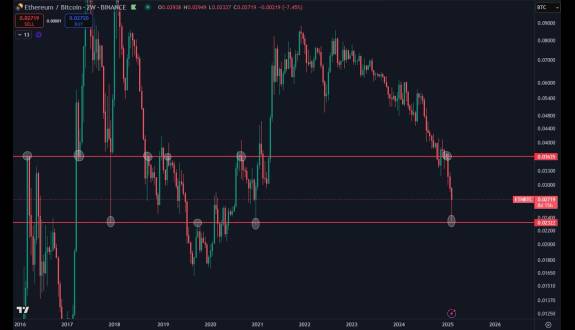 Daan Crypto Trades