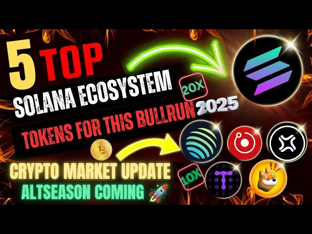 Top 5 Solana 생태계 토큰 🤑 |이 불행의 경우 2025 | 암호화 시장 업데이트 🚀 | #Solana #BTC #Altcoin