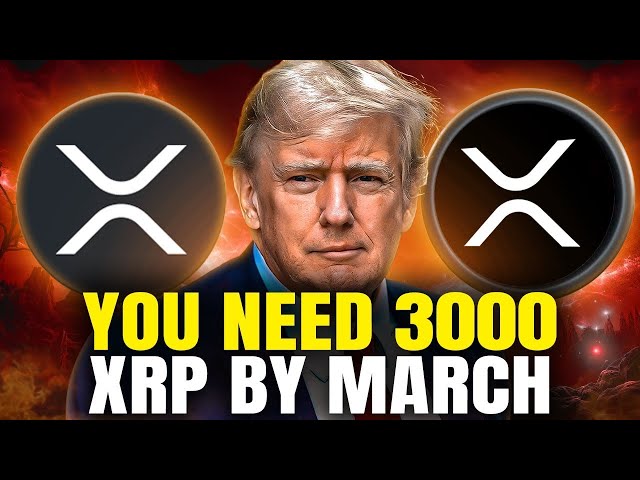 3 월까지 3000 XRP가 필요합니다 ($ 100,000 확인!)