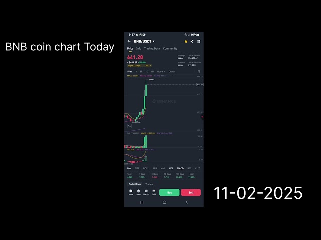 BNB coin charts today