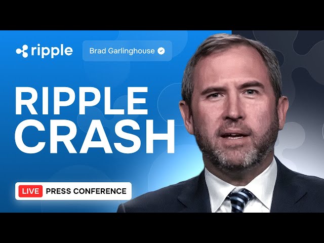 Brad Garlinghouse：Ripple Crash-次に何が起こりますか？！ XRP価格予測