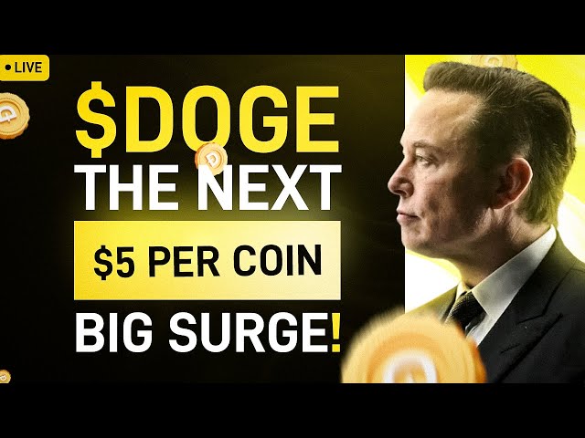 Elon Musk : Dogecoin Bull Run 확인 준비 🚀 Doge Price Analysis