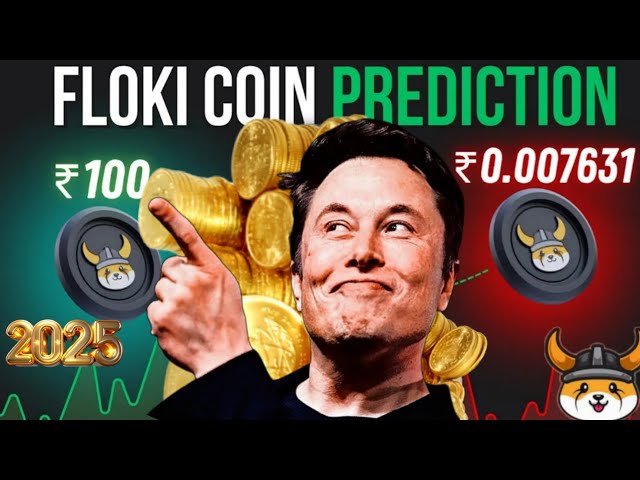 Floki Inu Coin Price Predictions 2025 | Floki Inu Coin Big News Today RS 1 in 2025 | Floki Inu