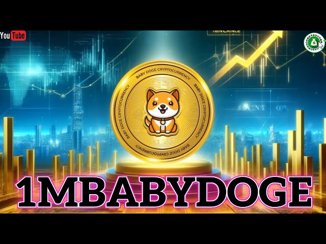 1 MbabyDoge Babydoge Coin SE vorbereiten