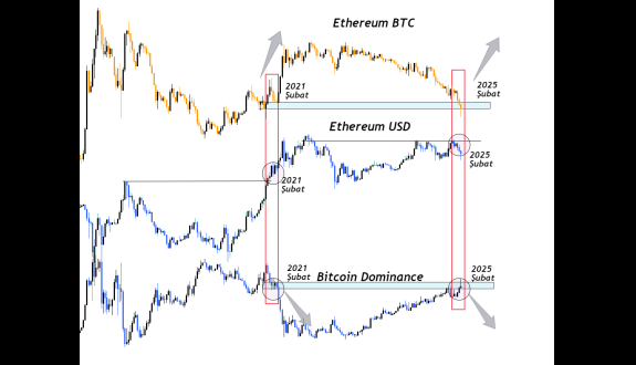 Cryptosahintas