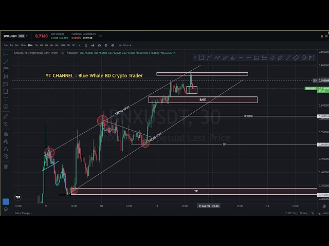 Binaryx 코인 가격 예측 | BNX 코인 가격 예측 라이브