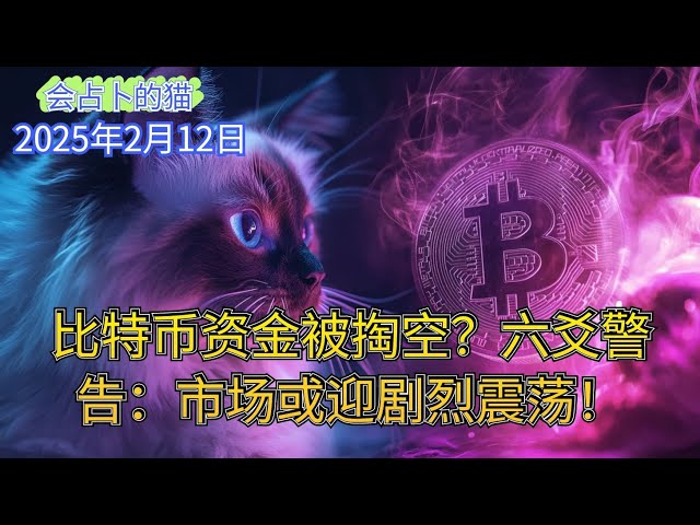 Bitcoin funds are hollowed out? Liu Yao warns: The market may face severe volatility!