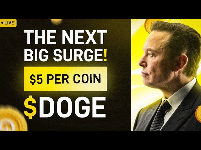 Elon Musk : Dogecoin Bull Run 확인 준비 🚀 Doge Price Analysis