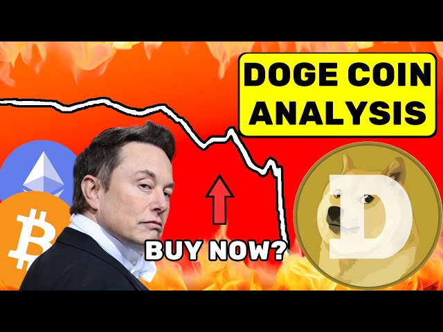 Eth＆Bitcoin Crash！？ Doge Coinにロードする時間は？ （2倍の可能性？）