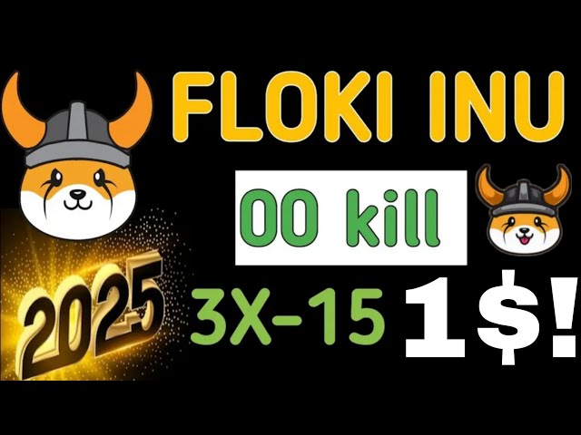 Floki INU硬币价格预测2025 | Floki Inu硬币今日大新闻2025年1月1日| floki inu