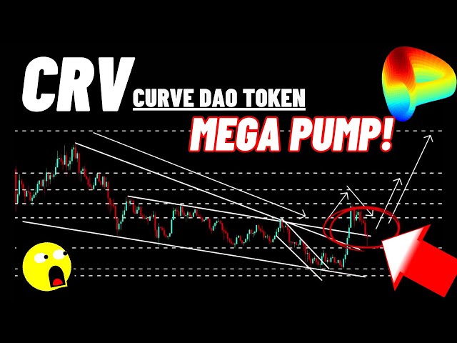 MEGA POMPE DE COURNE CURVE CUIN DAO (CRV)