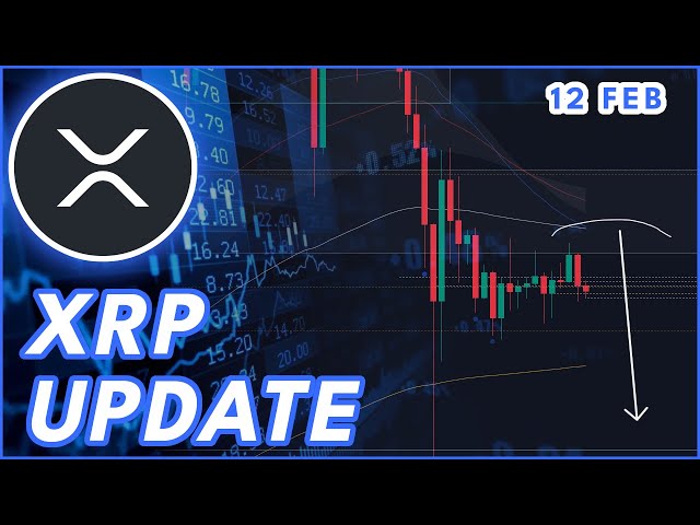 XRP的下一步行動？🚨| Ripple（XRP）價格預測與新聞2025！