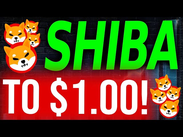 Netflix & Amazon Are Sending Shiba Inu Coin To $1!! - Shiba Inu Coin News Today