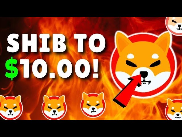 Shiba INU CEO는 곧 밤새 Shib를 10 달러로 보냅니다 !! -Shiba Inu Coin 뉴스 오늘