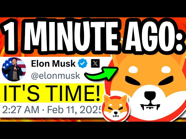 Shiba Inu: Elon Musk Genius Move! 150 000 000 000 $ Shiba INU sur Coinbase - Shiba Inu Coin News aujourd'hui