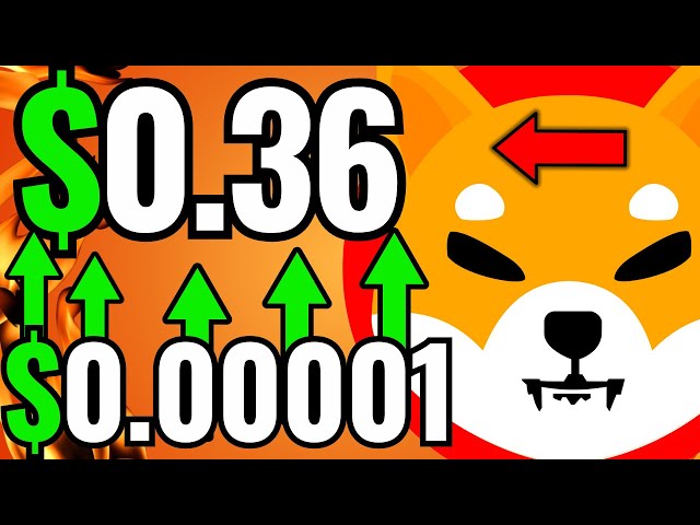 Shiba Inu: Takeover du gouvernement américain !! 1 200 000 000 $ ne suffisent pas ?! - Shiba Inu Coin News Prediction