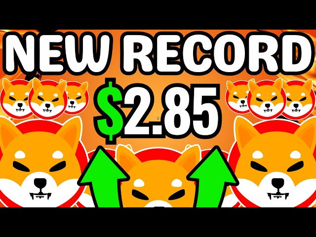 Shiba inu：kusama ytoshi breaking naulnaw！ドナルド・トランプの狂気！ Shiba Inu Coin News Update