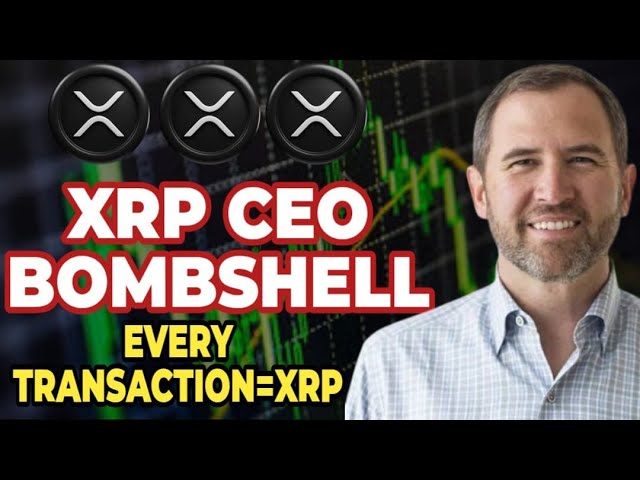 XRP CEOはBombshel​​lをドロップします - XRPを使用するためのすべてのトランザクション！