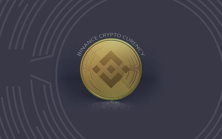 BNB 체인 (BNB) 가격 분석 및 예측 : Binance Coin (BNB)은 앞으로 몇 달 안에 반등합니다.