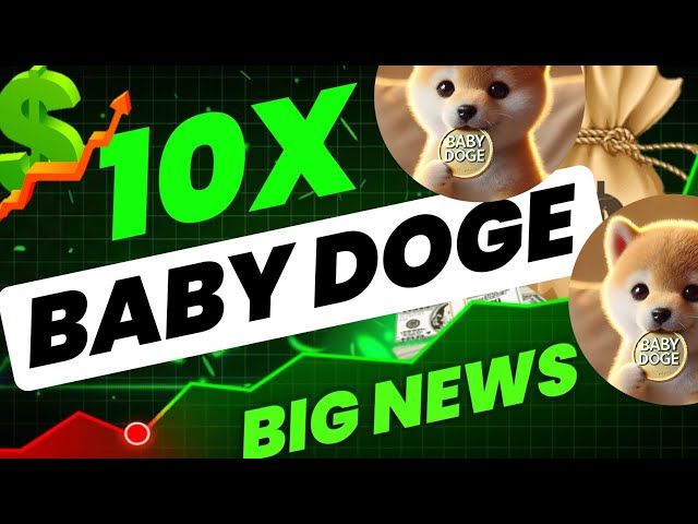 Baby Doge Coin Breaking Nouvelles