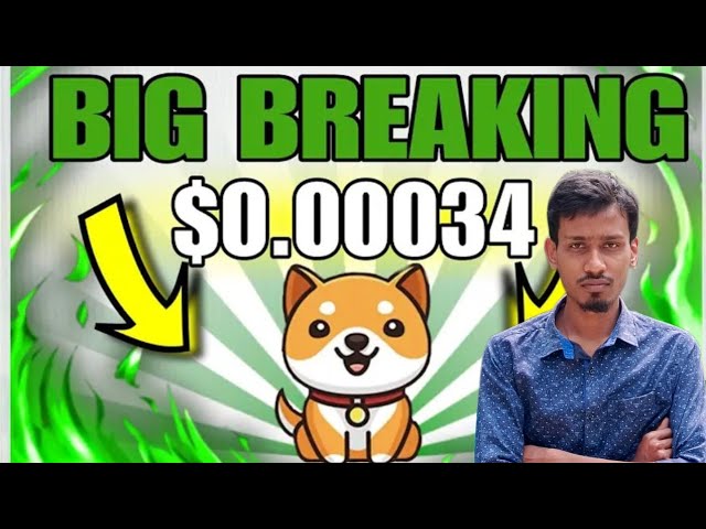 Baby Dogecoin News Today | Burning | BabyDoge Coin Price $0.00034 | Binance Listing