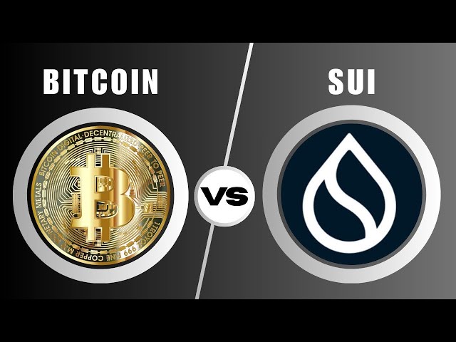 Bitcoin vs Sui : Basic Differences Explained | Crypto | BTC | SUI