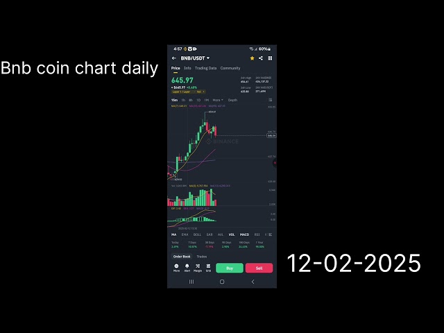 BNB coin charts today