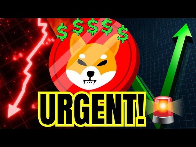 JUST IN: CEO OF BINANCE IS BUYING LOADS OF SHIBA INU!! GET READY FOR THIS! - SHIBA INU COIN NEWS