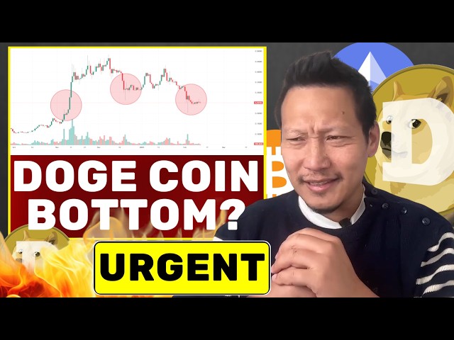 Doge Coinは50％減少していますか？底はありますか？ *緊急の更新* BTC、ETH、銀、Doge