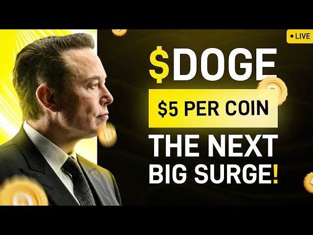 Elon Musk: Dogecoin Bull Run prêt à être confirmé 🚀 Analyse des prix Doge