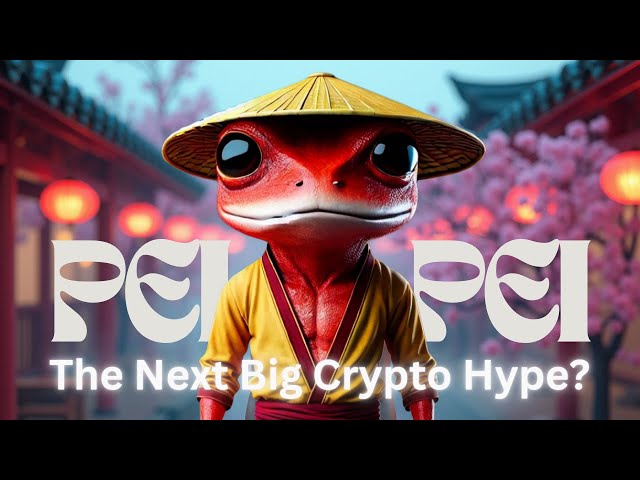 🚀Peipei Meme Coin：下一個大加密炒作？ 🔥