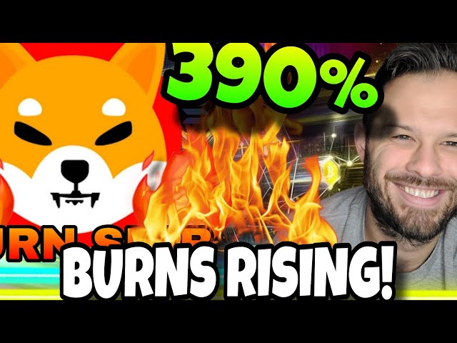 Shiba Inu硬幣| 390％的Shib Burns增長表明我們仍然很興奮！