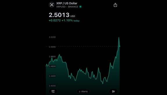 XRP whale