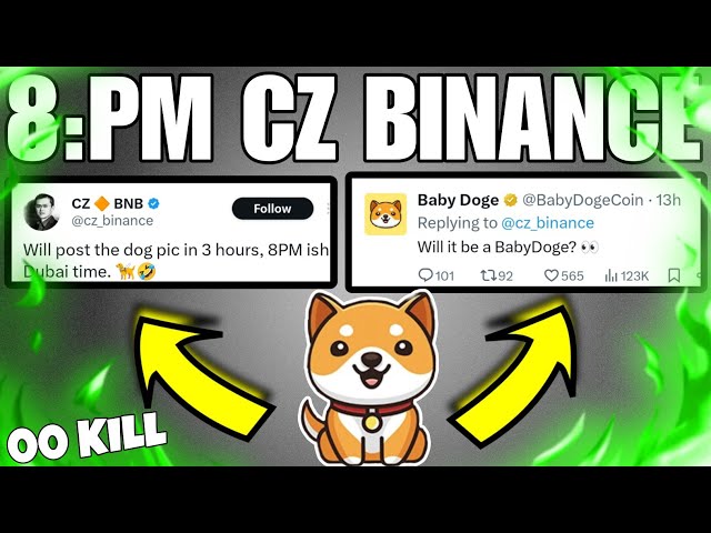 BABY DOGE COIN 🤫 CZ BINANCE 8:PM बड़ा ऐलान BABY DOGE BIG LISTING BABY DOGE PRICE PREDICTION 2025