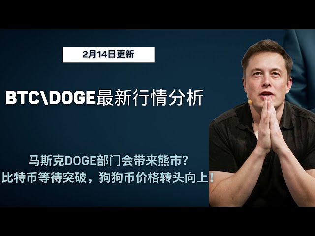 Bitcoin BTC Doge Doge Doge Doge Ethereum ETH Blockchain cryptocurrency latest market trend analysis, will Musk DOGE department bring a bear market? Bitcoin is waiting for a breakthrough, Dogecoin price turns upward