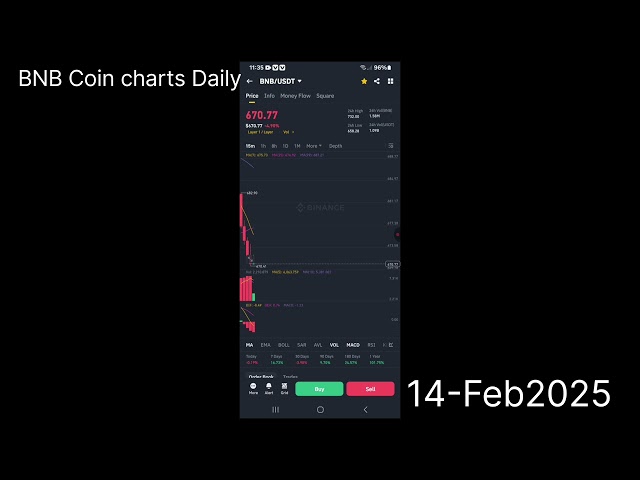 BNB Coin Charts Today / BNB coin charts daily