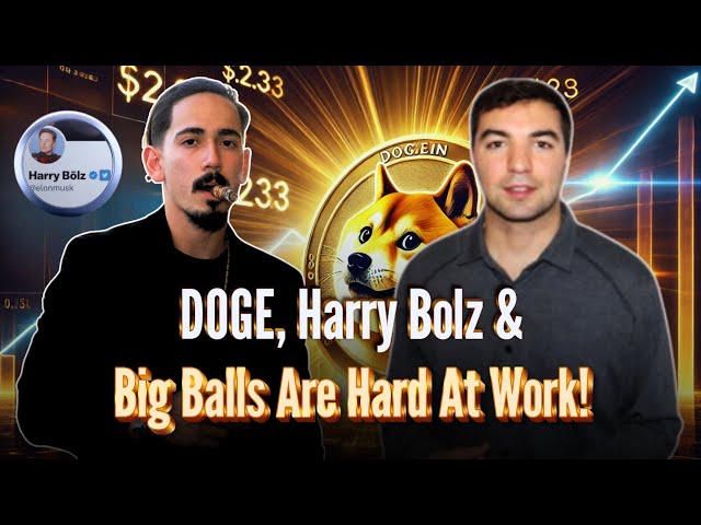 Doge，Harry Bolz和大球在努力工作！ | Doge硬幣|適當付款