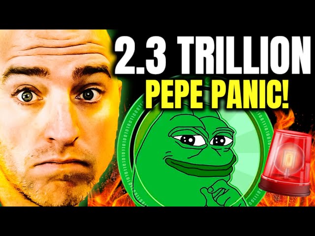 Pepe Coin - MASSIVE Panic! 2.3 Trillion PEPE Gone