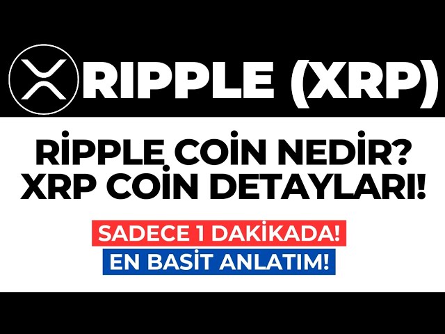 잔물결 (XRP) 코인이란 무엇입니까? Ripple (XRP) 동전 모든 세부 사항! 현재의