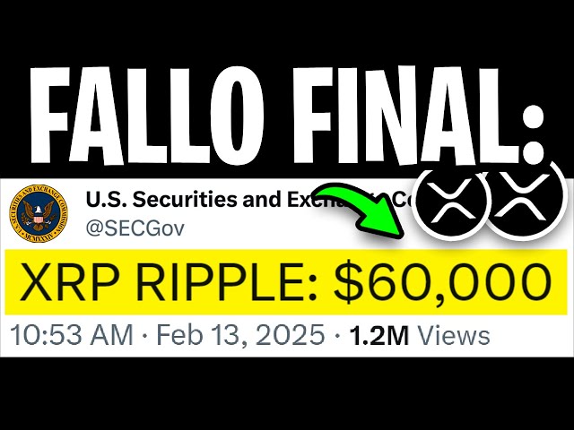 Ripple XRP: Bestätigter Sieg über die SEC! XRP -Pumpe von 60.000 US -Dollar genehmigt! - XRP Ripple