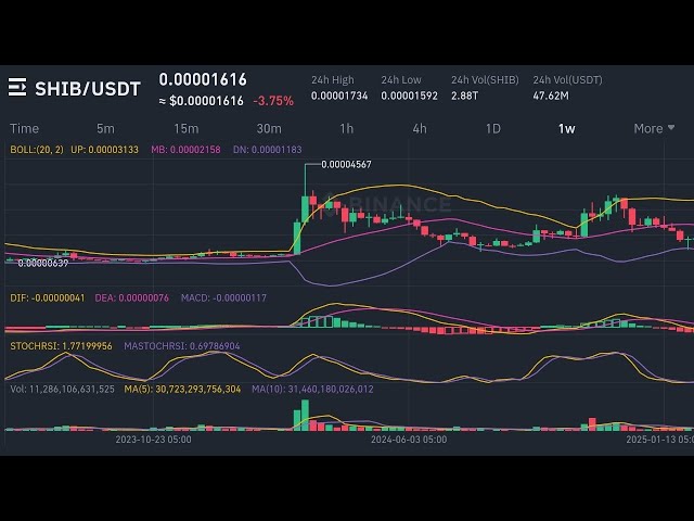 Shib Coin 라이브 차트 | 암호화 차익 거래 거래 전략 | Shib Coin Price Prediction 2025