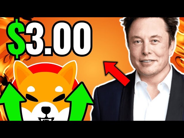 Shiba Inu : Elon Musk Genius Move! 코인베이스에 $ 150,000,000,000 시바 이누! Shiba Inu Coin 뉴스 업데이트