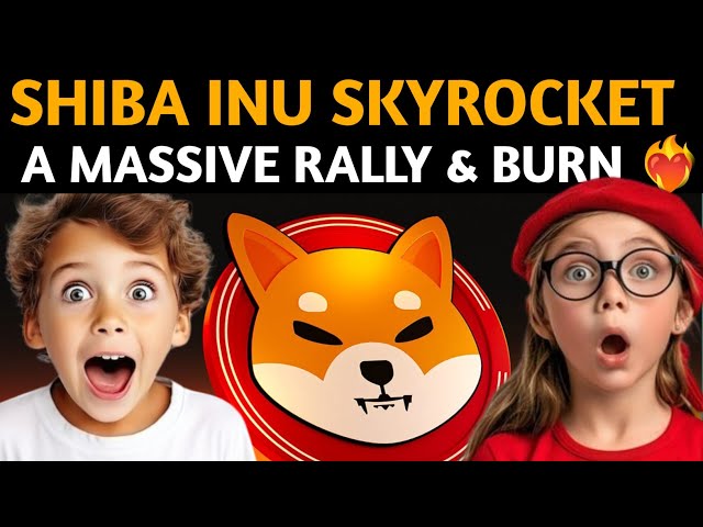 Shiba inu Skyrocket: A Massive Shiba inu Coin Rally & Burn ❤️‍🔥