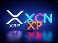 XCN vs XRP which crypto will reigns supreme?