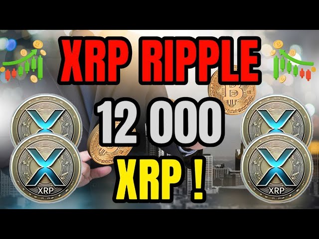 XRPニュース：XRPリップル12 000 XRP | XRP最大のニュース今日の#News