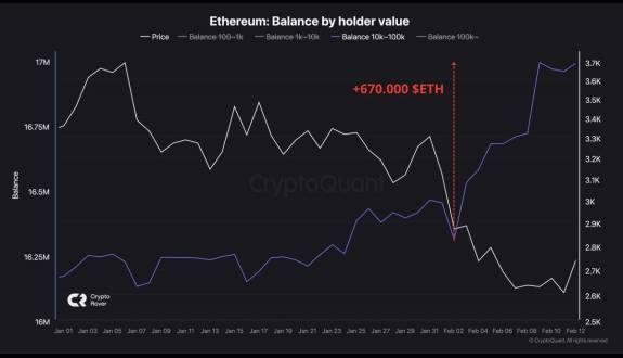 Crypto Rover