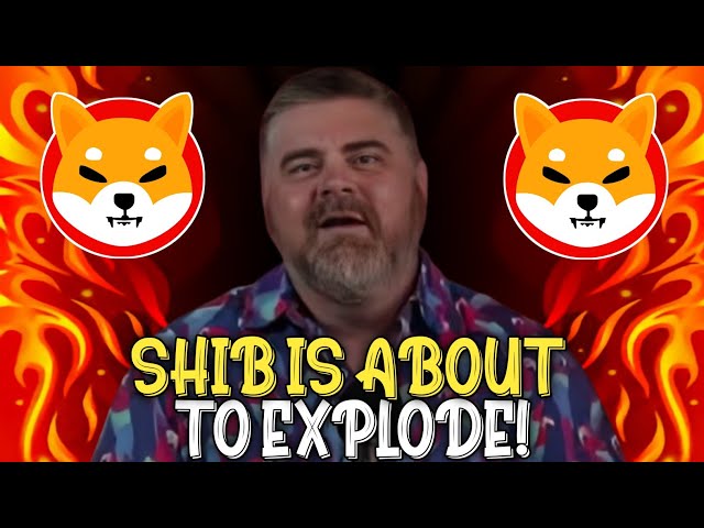 Bitboy Crypto Exposed Shibは次のビットコインです！ 500万枚のシバ島コインを保持している場合はご覧ください！