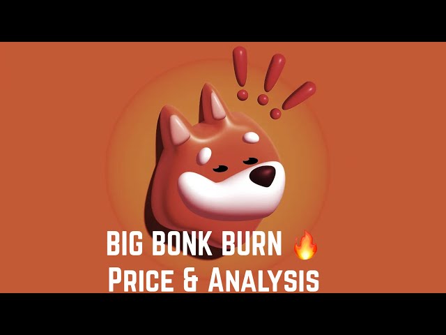 Bonk News Today Big Burn