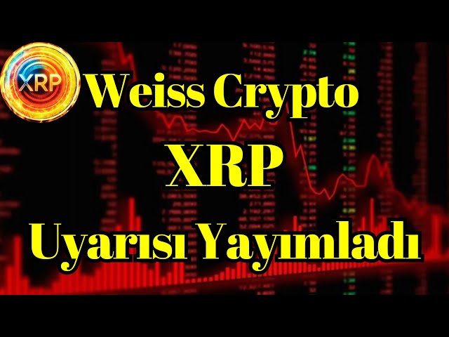 Crypto Voice News | Weiss Crypto Published a Warning of XRP